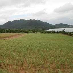 石垣島・川平湾