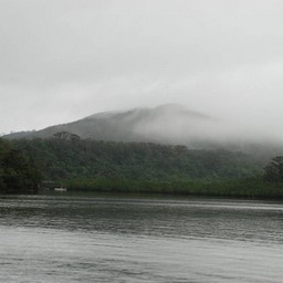 西表島・仲間川