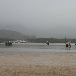 西表島・由布島