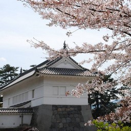 小田原市・小田原城
