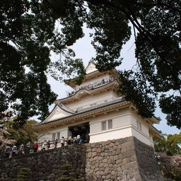 小田原市・小田原城