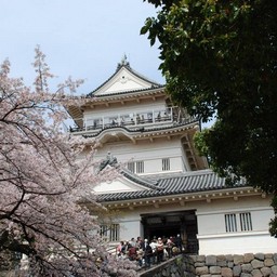 小田原市・小田原城