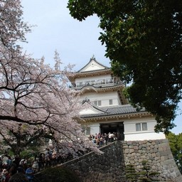 小田原市・小田原城