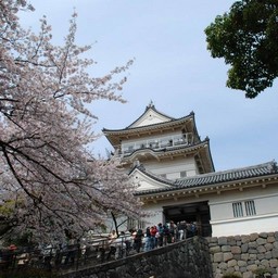 小田原市・小田原城