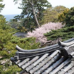 小田原市・小田原城