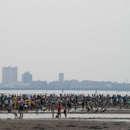 船橋市・潮干狩り