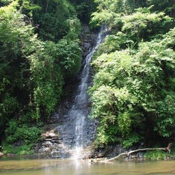 千葉県・養老渓谷