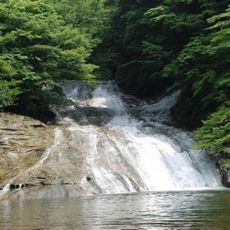 千葉県・養老渓谷