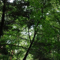 日光市