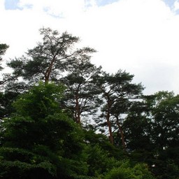 日光市