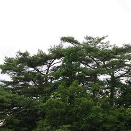 日光市
