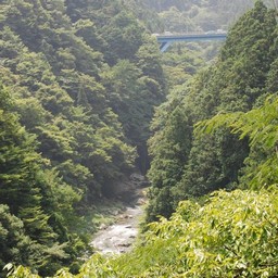 東京都奥多摩町・多摩川