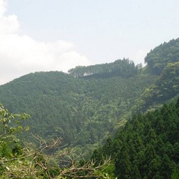 東京都奥多摩町・多摩川