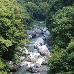 東京都奥多摩町・多摩川