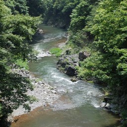 東京都奥多摩町・多摩川