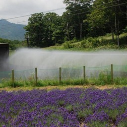 群馬県・たんばら高原