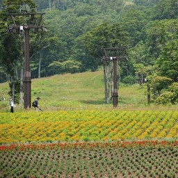 群馬県・たんばら高原