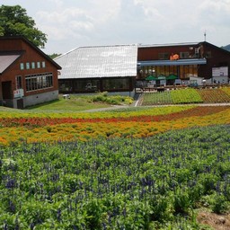 群馬県・たんばら高原