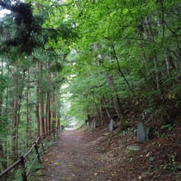 群馬県・吹割の滝