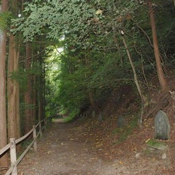 群馬県・吹割の滝