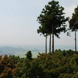 つくば市・筑波山