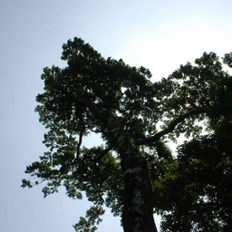 つくば市・筑波山