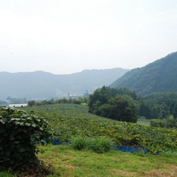 山梨市