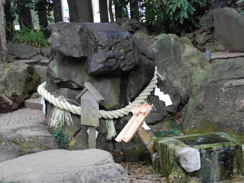 ʌzsEwnCLOi_߂j - ii{j - ʐ^f - ݃{