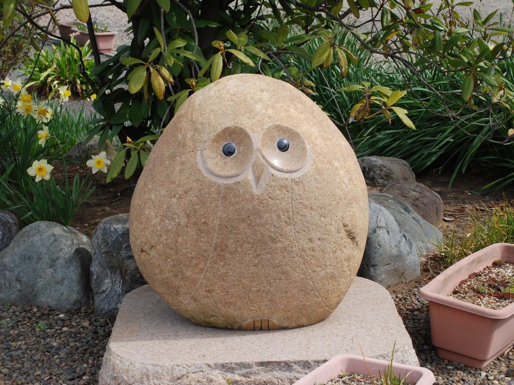 ʌ܎sEwnCLOiYa瓌jEƎ - ii{j - ʐ^f - ݃{