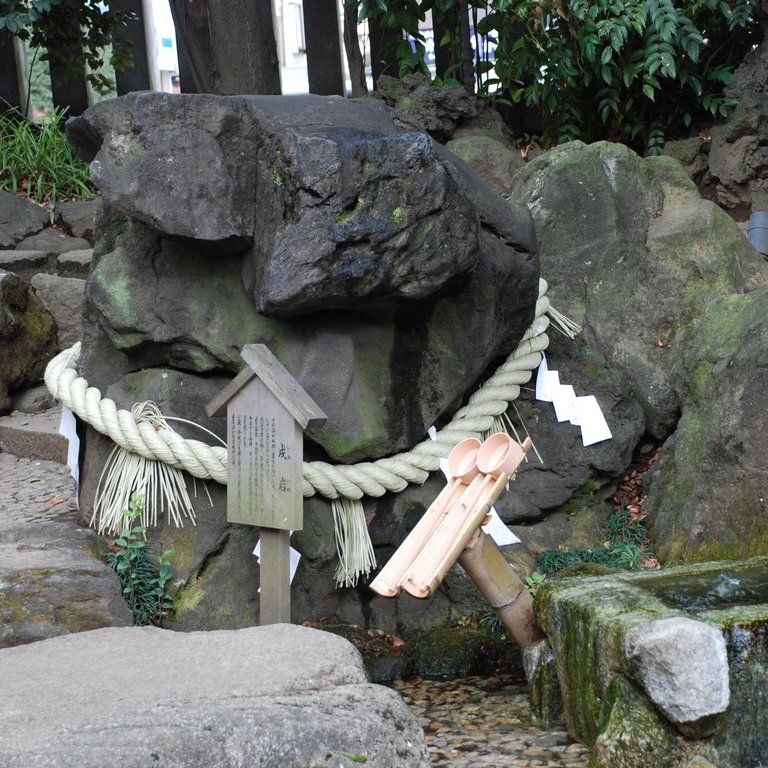 ʌzsEwnCLOi_߂j - ii{j - ʐ^f - ݃{