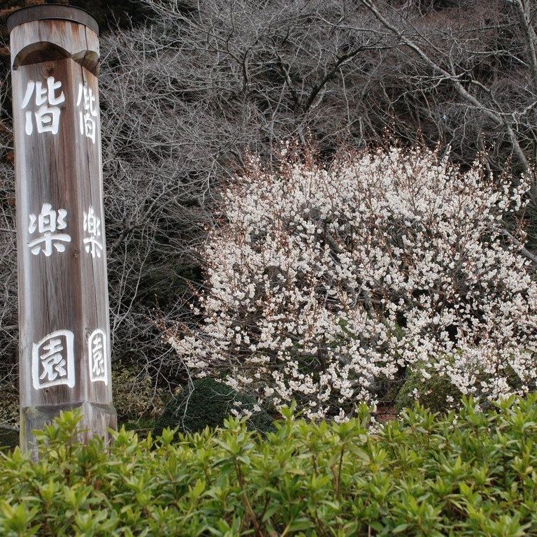 錧ˎsiyjEwnCLOEy - ii{j - ʐ^f - ݃{