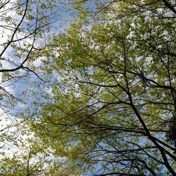 小山市・城山公園