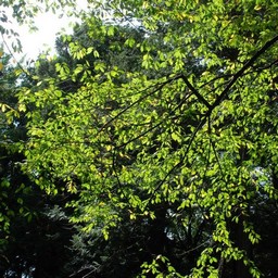 小山市・城山公園