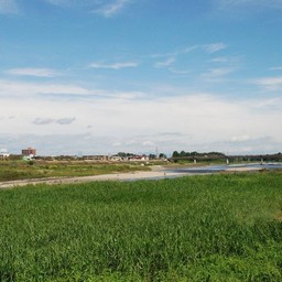 小山市・思川