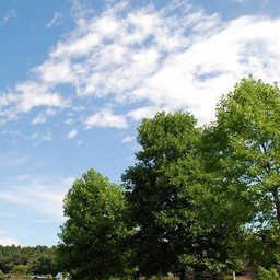 小山市・小山総合公園