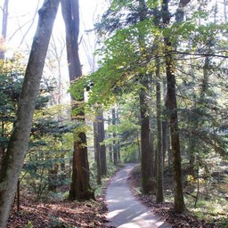 長野県軽井沢町