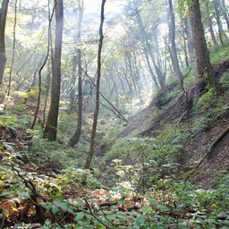 長野県軽井沢町