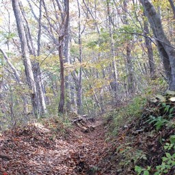 長野県軽井沢町