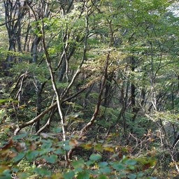 長野県軽井沢町