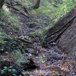 長野県軽井沢町
