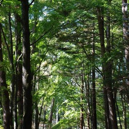 長野県軽井沢町
