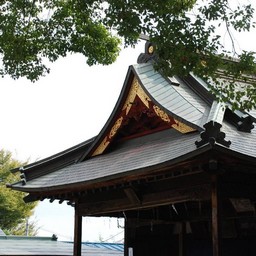 埼玉県鷲宮町・鷲宮神社