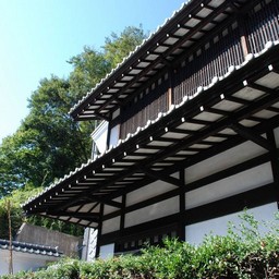 川崎市・生田緑地
