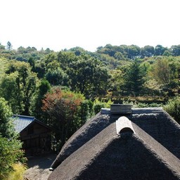 川崎市・生田緑地