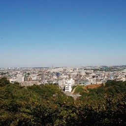 川崎市・生田緑地