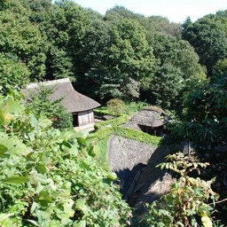 川崎市・生田緑地