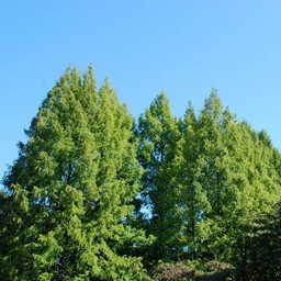 川崎市・生田緑地