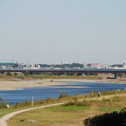 川崎市・多摩川