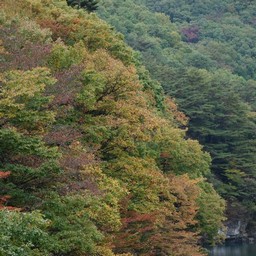 日光市・龍王峡