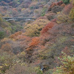 安中市・横川駅